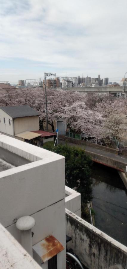 Cherry Blossom Koseicho Okayama Luaran gambar